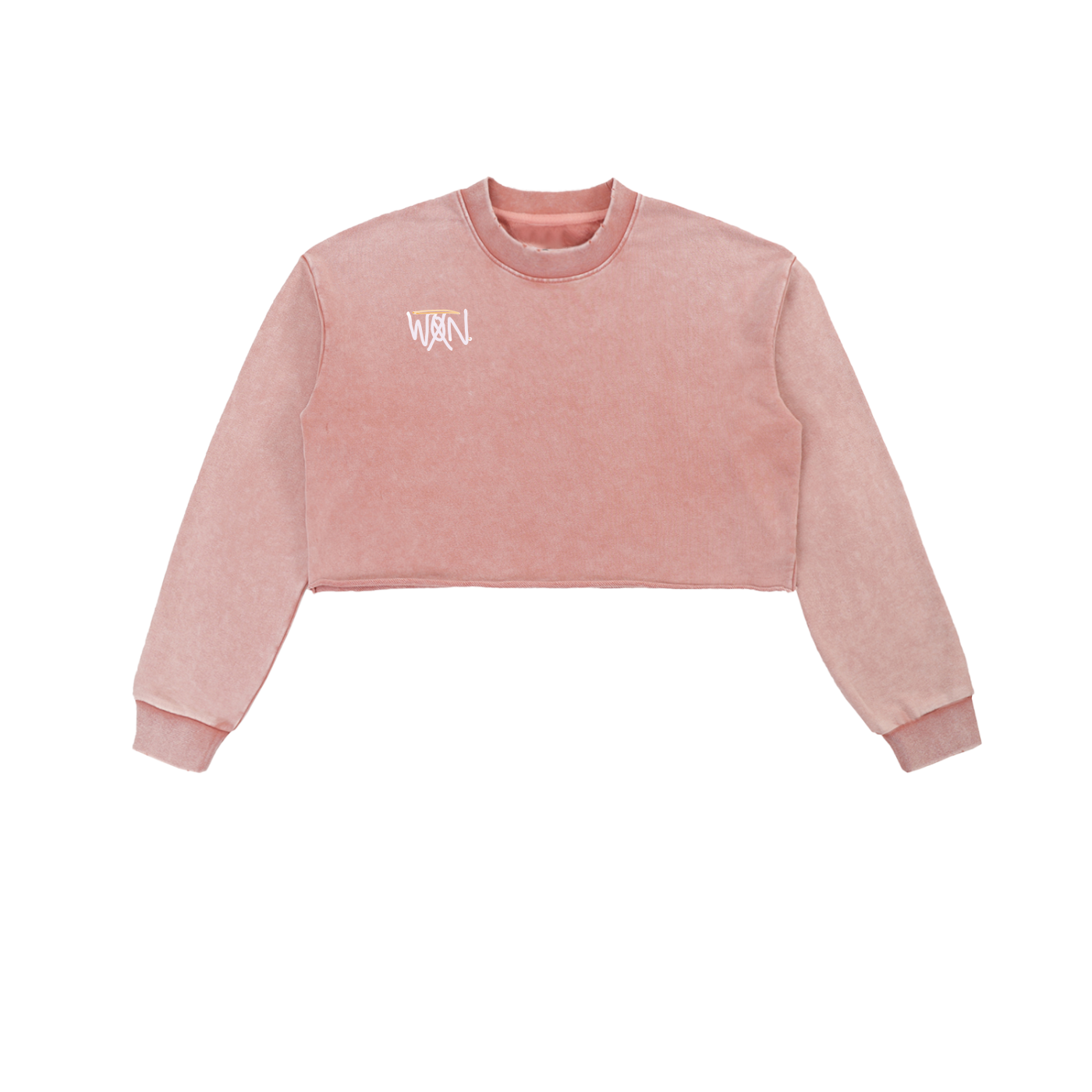 GOOD, BAD, 'N UGLY Snow Washed Raw Edge Cropped Sweatshirt