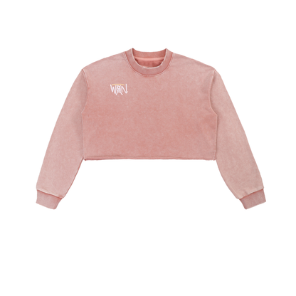 GOOD, BAD, 'N UGLY Snow Washed Raw Edge Cropped Sweatshirt