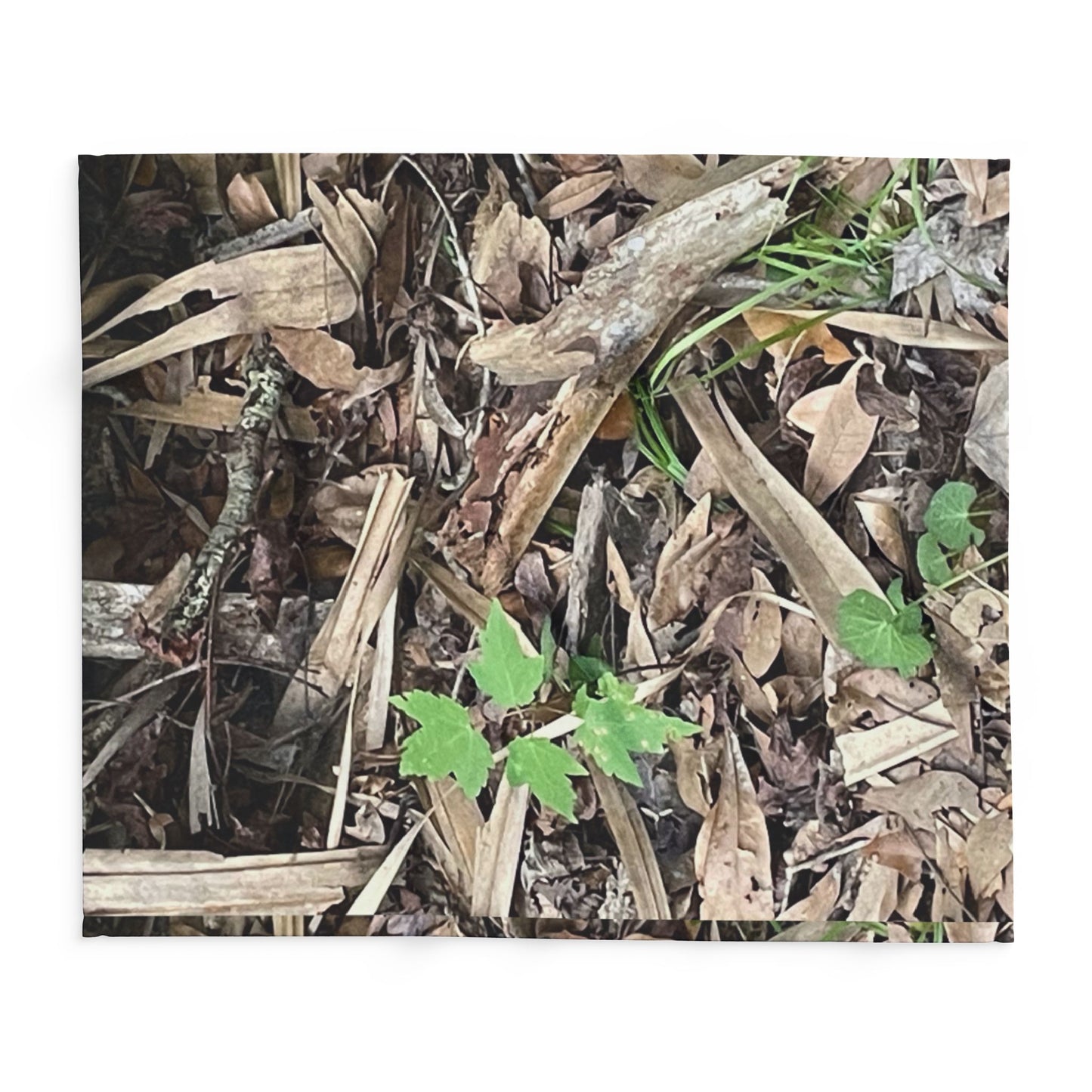 Burdette Photography Camo Woodland Fleece Blanket — Outdoor Moss & Leaf Pattern Cozy Throw