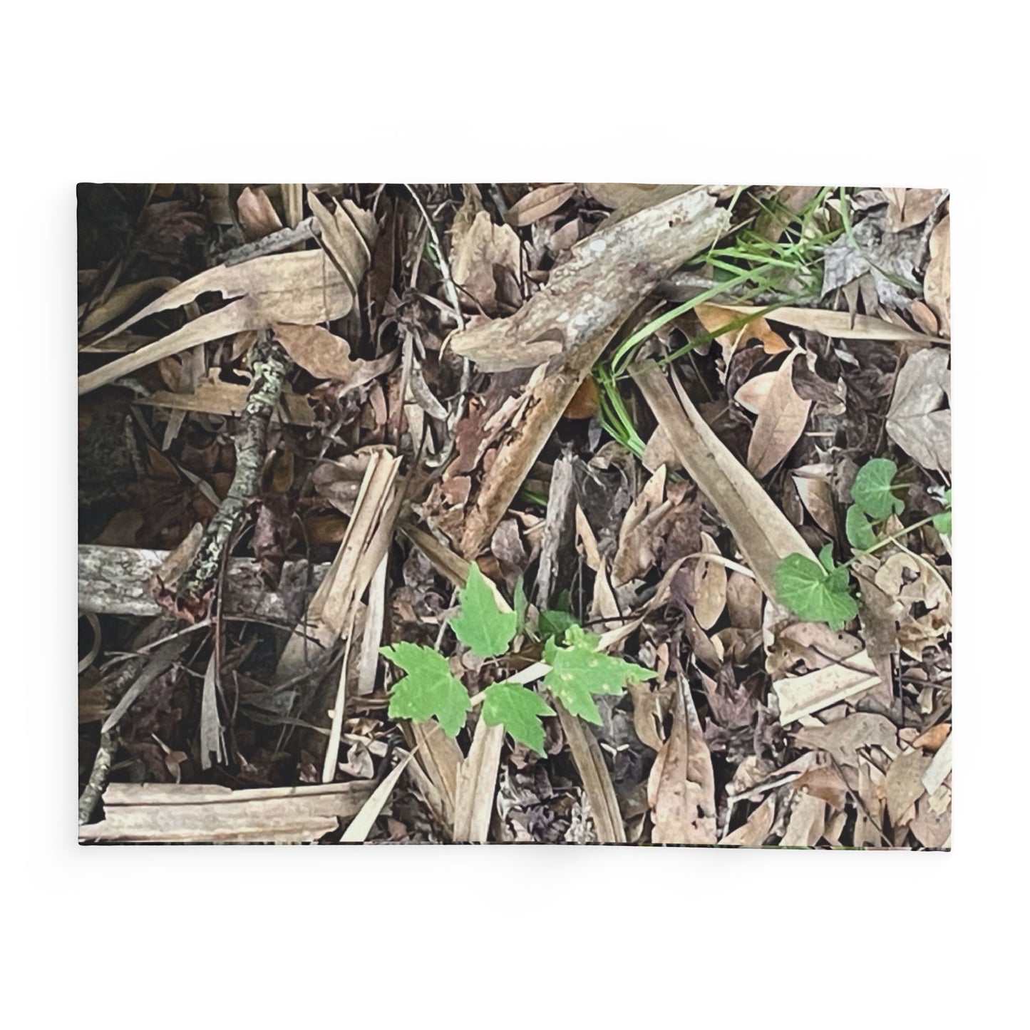 Burdette Photography Camo Woodland Fleece Blanket — Outdoor Moss & Leaf Pattern Cozy Throw